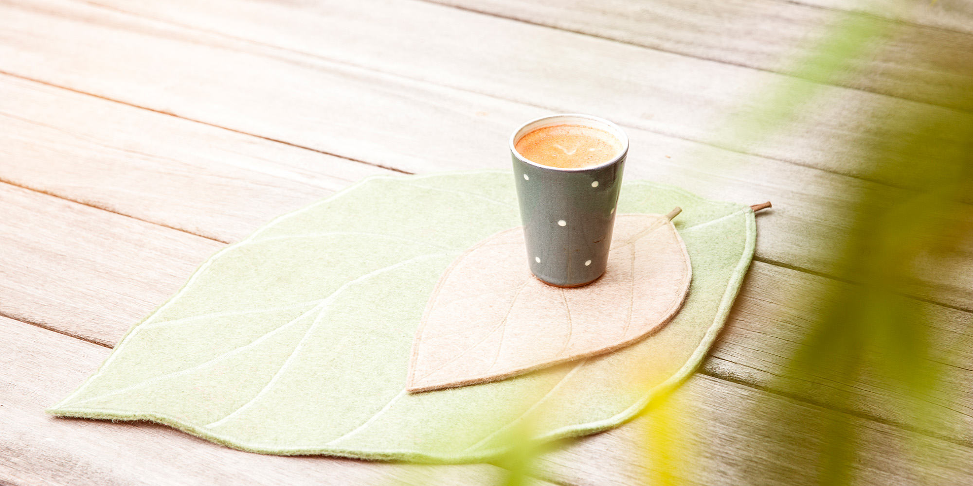 Corporate Behaviour & Coaching